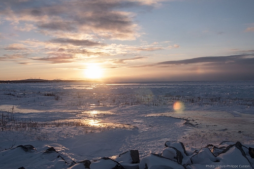 Détente et nature en Matanie l'hiver