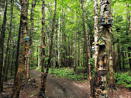 Sentiers de bon-pasteur à Matane