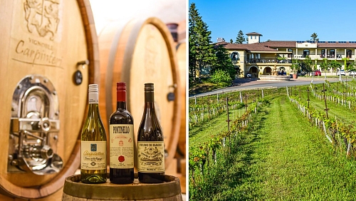Vignoble Carpinteri