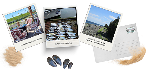 Montage photos La Matanie