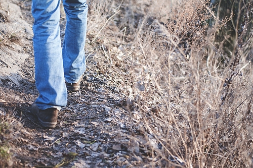 Conseils pour toi cher(ère) randonneur(se) en cette période de chasse